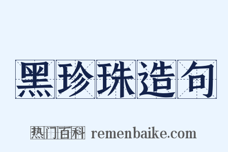 黑珍珠造句是什么意思的图片